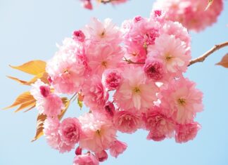 Ile paczek pieluch na początek? Ile paczek pieluch na początek?