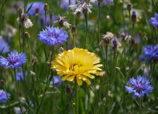 Co odpowiada się na co tam?