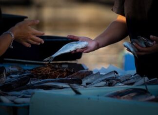 Gdzie sprzedawać materiały edukacyjne?