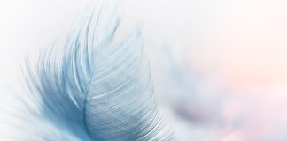 Jakie pióro do codziennego pisania?