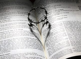 Czy Haier to dobra marka? Czy Haier to dobra marka?