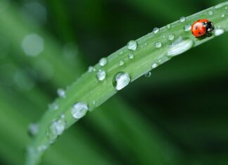 Jak duża pościel dla dziecka? Jak duża pościel dla dziecka?