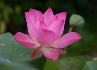 Jak się mówi po angielsku spodnie? Jak się mówi po angielsku spodnie?