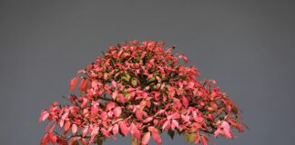 Czy gryzaki można myć w zmywarce?