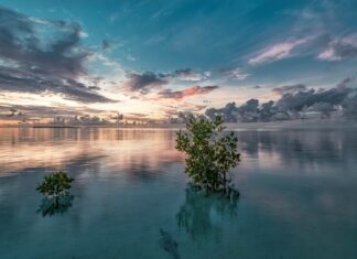 Jak Zszyć Narożniki? Jak Zszyć Narożniki?