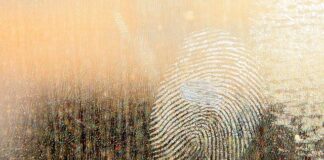 Jaki smar do pompki?