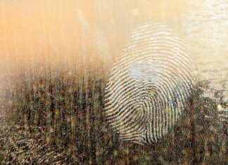 Jaki smar do pompki? Jaki smar do pompki?