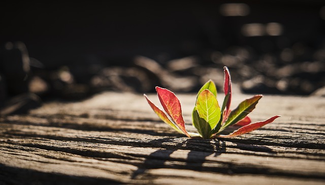 Ile podkładów poporodowych zabrać do szpitala? Ile podkładów poporodowych zabrać do szpitala?