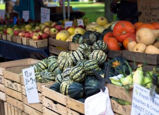 Czy w pralkach BEKO są wymienne łożyska?