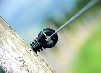 Ile Polaków ma broń? Ile Polaków ma broń?