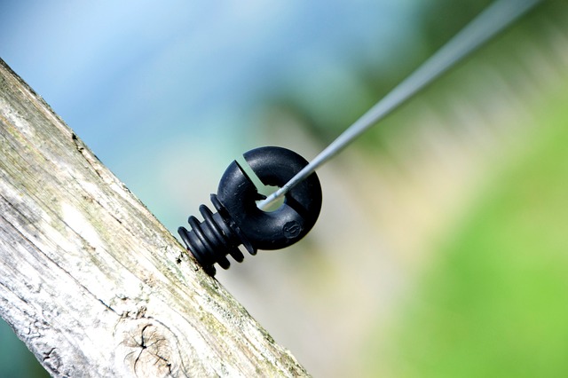 Ile Polaków ma broń? Ile Polaków ma broń?