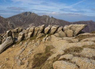 Kiedy dziecko powinno układać wieże?