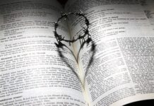 Czy Haier to Candy? Czy Haier to Candy?