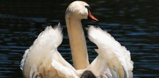 Jak noworodek powinien siedzieć w foteliku?