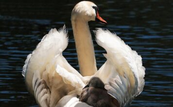 Kiedy zmienić fotelik na drugi?