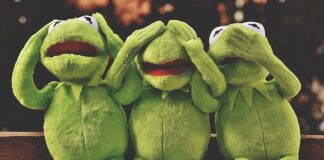 Skąd się wziął pluszowy miś?