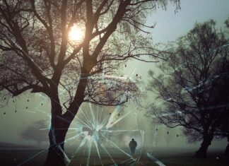 Jakim autem jeżdżą Kryminalni? Jakim autem jeżdżą Kryminalni?