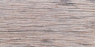 Ile kosztuje Nerf karabin?