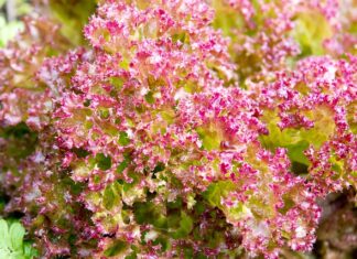 Jaki rozmiar pościeli dla niemowlaka?