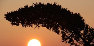 Jak naprawić wyschnięty marker?