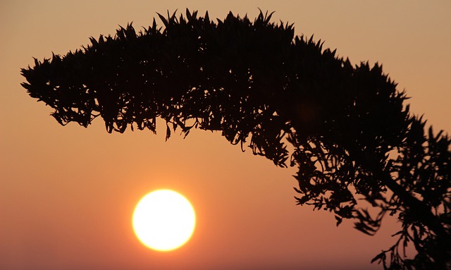 Jak naprawić wyschnięty marker? Jak naprawić wyschnięty marker?