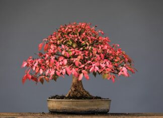 Jak czyścić gryzaki? Jak czyścić gryzaki?