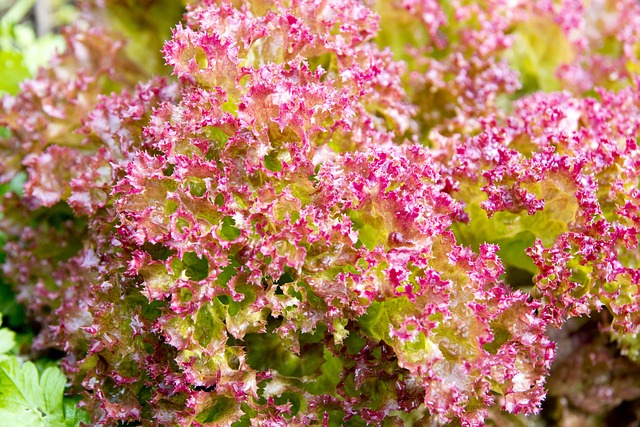 Jakie wypełnienie pościeli dla niemowląt? Jakie wypełnienie pościeli dla niemowląt?