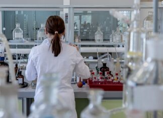 Kiedy iść do lekarza po ugryzieniu owada? Kiedy iść do lekarza po ugryzieniu owada?