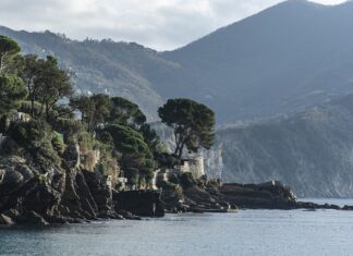 Ile kosztuje Kia policyjna?