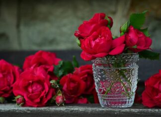 Gdzie kupić pojemnik na smoczek? Gdzie kupić pojemnik na smoczek?