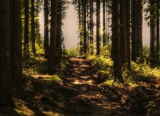 Gdzie były nagrywane auta? Gdzie były nagrywane auta?