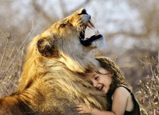 Jaka najlepsza Poszwa? Jaka najlepsza Poszwa?