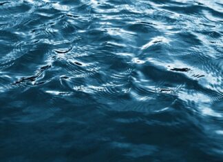 Czym jeżdżą tajniacy?