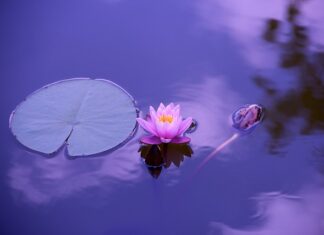 Jak mija ci dzień? Jak mija ci dzień?